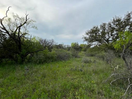 TBD COUNTY ROAD 225, BROOKESMITH, TX 76801, photo 2 of 28