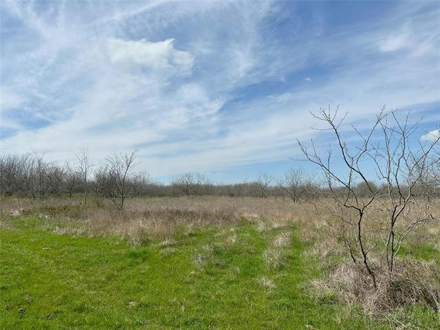 TRACT 1E (13.91 ACRES) FRONTAGE ROAD I-45, STREETMAN, TX 75859, photo 1 of 2