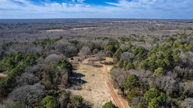 233 COUNTY ROAD 3130, COOKVILLE, TX 75558 - Image 1