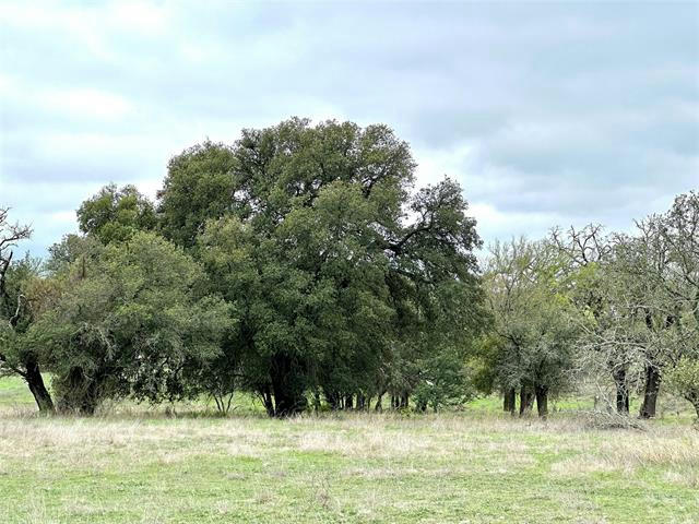 TBD COUNTY ROAD 250, GOLDTHWAITE, TX 76844, photo 1 of 7