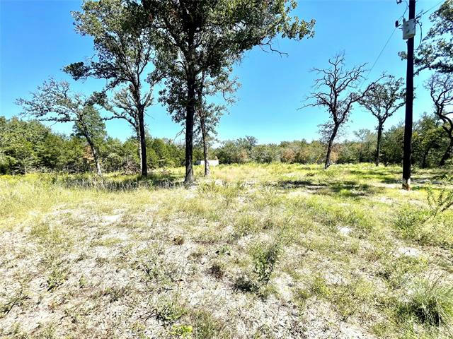 1013 FM 937, GROESBECK, TX 76642, photo 1 of 19