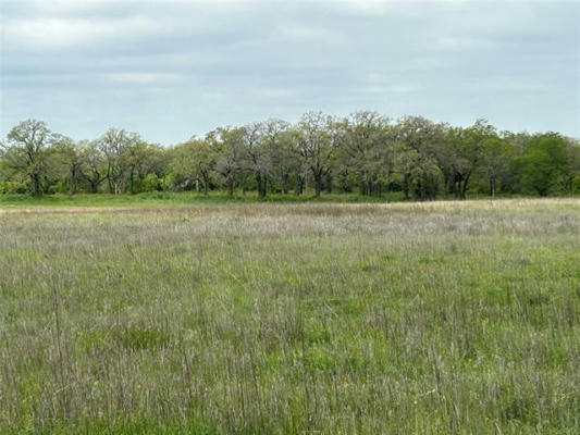 234 COUNTY ROAD 266, RISING STAR, TX 76471, photo 2 of 9