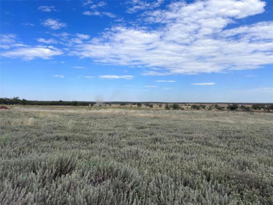 8218 COUNTY ROAD 432 # TRACT, MERKEL, TX 79536 - Image 1