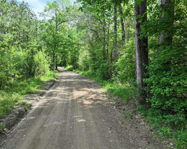 000 COUNTY ROAD 3709, COLMESNEIL, TX 75938, photo 1 of 19