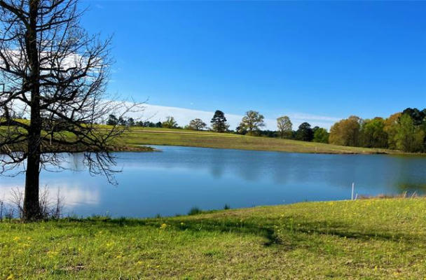 LOT 49 WHITE OAK, BIG SANDY, TX 75755 - Image 1