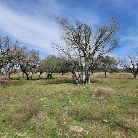 TBD COUNTY RD 266, GUSTINE, TX 76455, photo 1 of 2