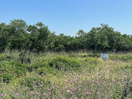 130 COUNTY ROAD 242, GOLDTHWAITE, TX 76844, photo 4 of 5