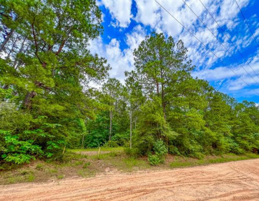 0000 HICKMAN ROAD, CORRIGAN, TX 75939 - Image 1