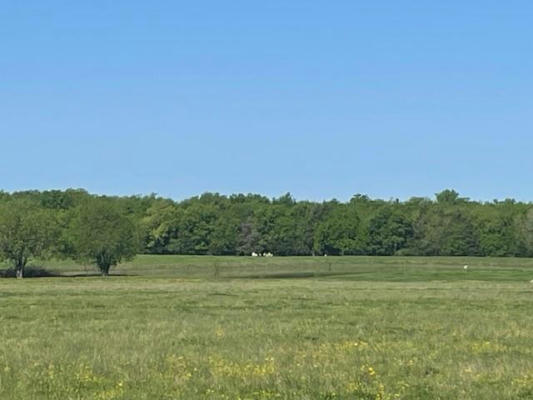 801 COUNTY ROAD 36010, HONEY GROVE, TX 75446, photo 2 of 6