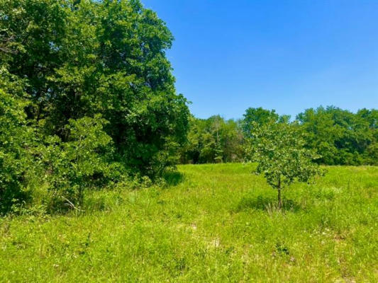 LOT 49 WICKLOW CT, POOLVILLE, TX 76487, photo 3 of 18