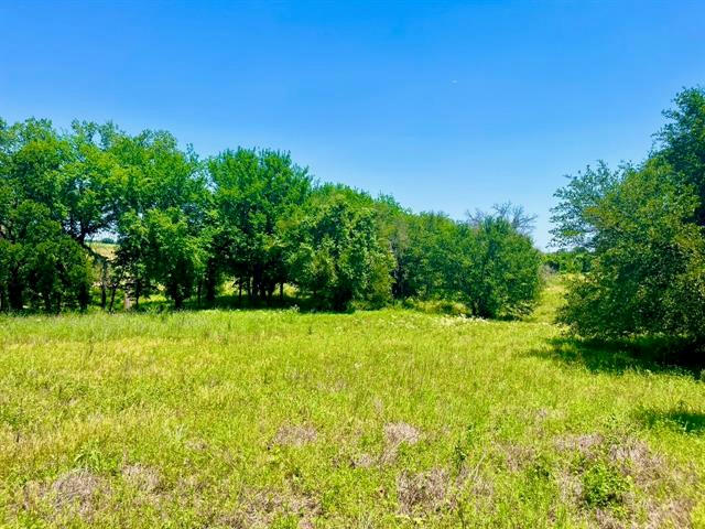 LOT 89 KERRY CT, POOLVILLE, TX 76487, photo 1 of 18