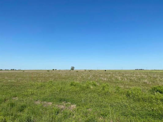 8 ACRES TRACT 4 FM 6, O'BRIEN, TX 79537, photo 4 of 6