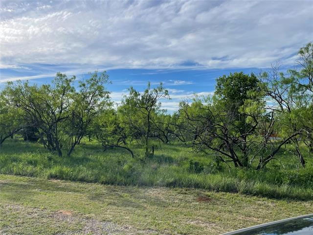 LOT 11 LITTLE VALLEY DRIVE, RUNAWAY BAY, TX 76426, photo 1 of 10