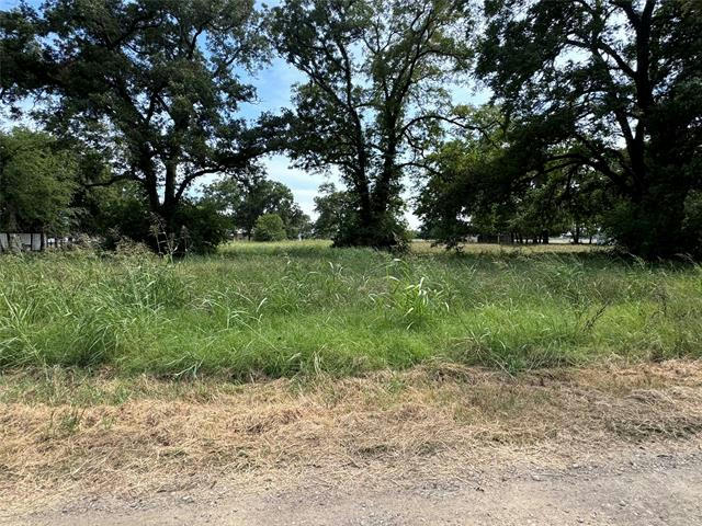 TBD FARM ROAD 196, PATTONVILLE, TX 75468, photo 1 of 5