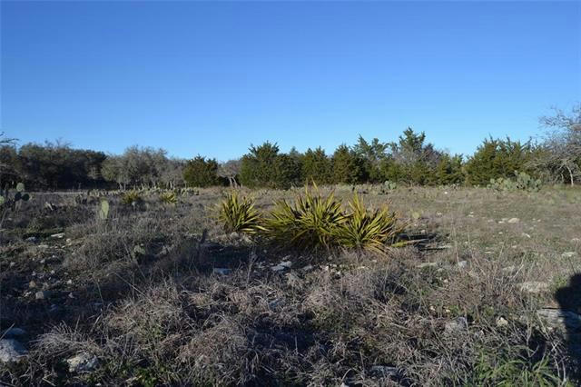 738 ROLLING OAKS DR, HARPER, TX 78631, photo 1 of 2