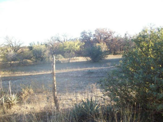 5501 COUNTY ROAD 372, EARLY, TX 76802, photo 4 of 12