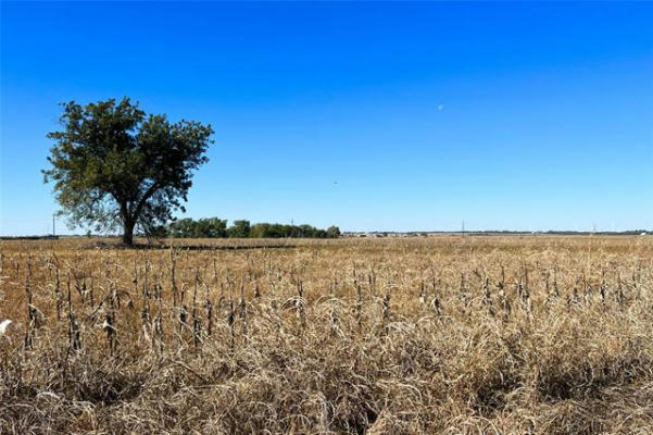 16895 COUNTY ROAD 105 N, VERNON, TX 76384, photo 3 of 9