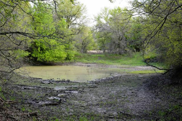 15075 COUNTY ROAD 355, DUBLIN, TX 76446, photo 2 of 35