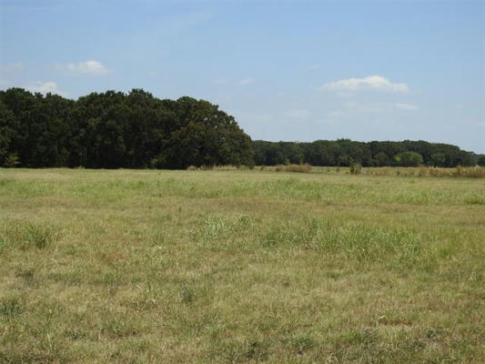 1116 COUNTY ROAD 2235, IVANHOE, TX 75447 - Image 1