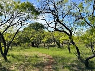 63 COUNTY ROAD 129, BROWNWOOD, TX 76801, photo 2 of 40