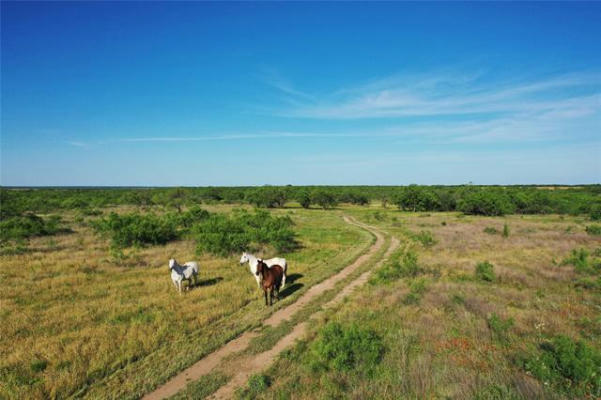 8626 COUNTY ROAD 241, CLYDE, TX 79510, photo 4 of 40