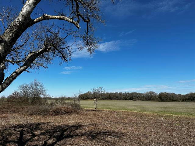 TBD COUNTY ROAD 437, RISING STAR, TX 76471, photo 1 of 18