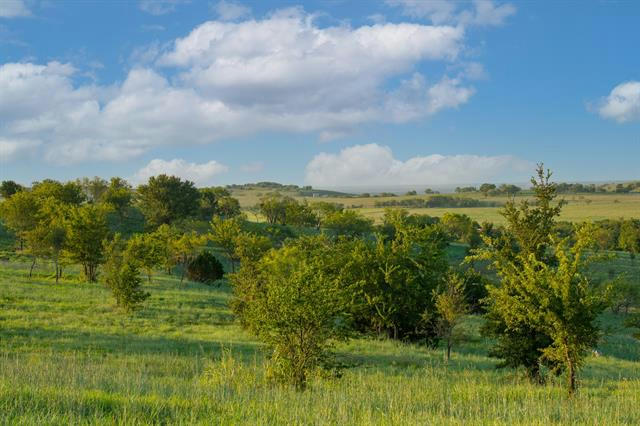 3027 WINDING CREEK TRL, ALEDO, TX 76008, photo 1 of 15