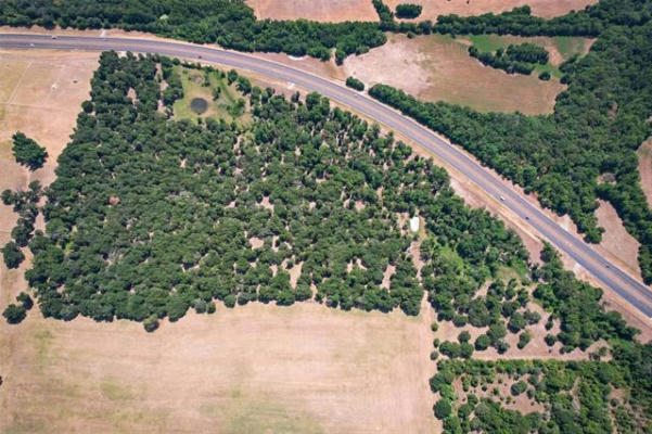 57 ACRES LOOP 7, ATHENS, TX 75751, photo 3 of 8