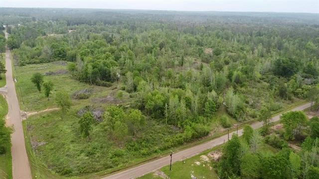 TRACT 4 COUNTY ROAD 4146, OVERTON, TX 75684, photo 2 of 15