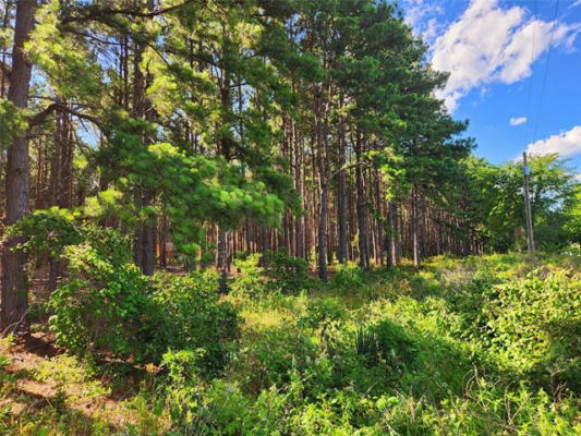 LOT 459 CR-4712, LARUE, TX 75770, photo 3 of 40