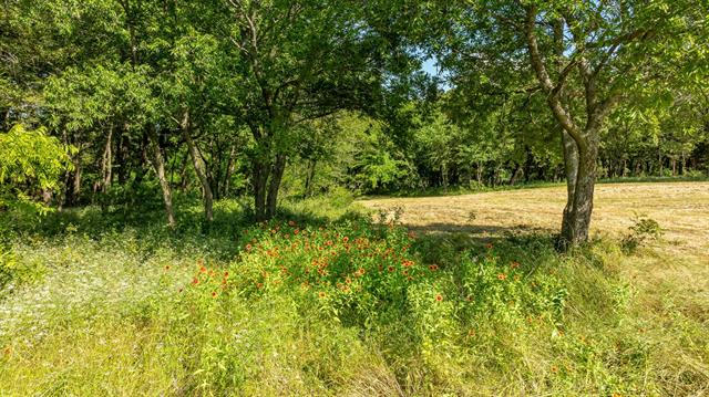 TBD E FM 455, PILOT POINT, TX 76258, photo 3 of 31