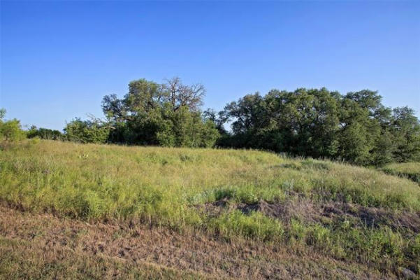 LOT 447 INDIGO BUSH COURT, GRAFORD, TX 76449, photo 2 of 18