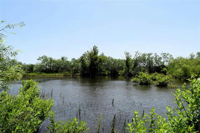 TBD 95 COUNTY RD 404, VALERA, TX 76884, photo 1 of 36