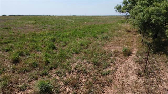 0000 COUNTY ROAD 230 ROAD, SEYMOUR, TX 76380, photo 4 of 39