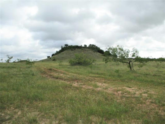 105 AC TWO BUSH, PERRIN, TX 76486, photo 2 of 14