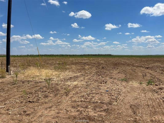 TBD 19 PR CIRCLE T, HAWLEY, TX 79525 - Image 1