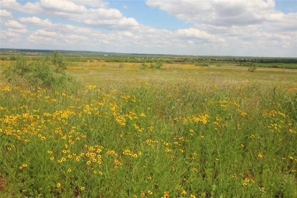 LOT 1 MARSHAL TRAIL, TUSCOLA, TX 79562, photo 2 of 12