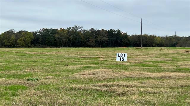 LOT 15 FM514 ROAD, YANTIS, TX 75497, photo 2 of 11