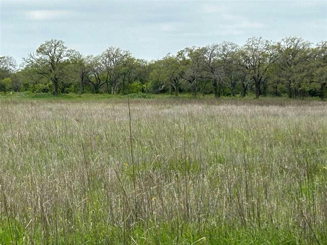 234 COUNTY ROAD 266, RISING STAR, TX 76471, photo 1 of 9