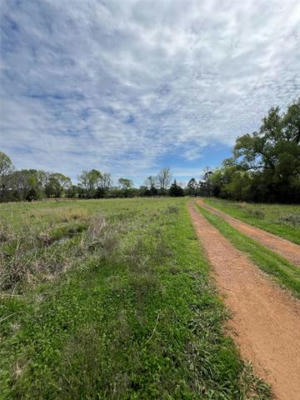 TBD COUNTY ROAD 490, HENDERSON, TX 75681, photo 4 of 26