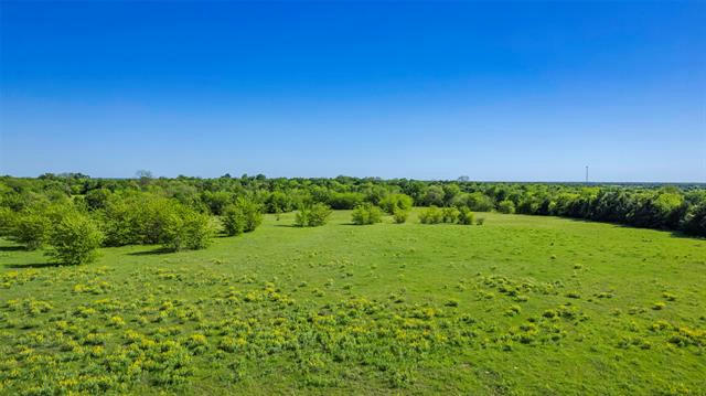 TRACT 4 - 39AC FARM ROAD 1737, GREENVILLE, TX 75402, photo 4 of 9