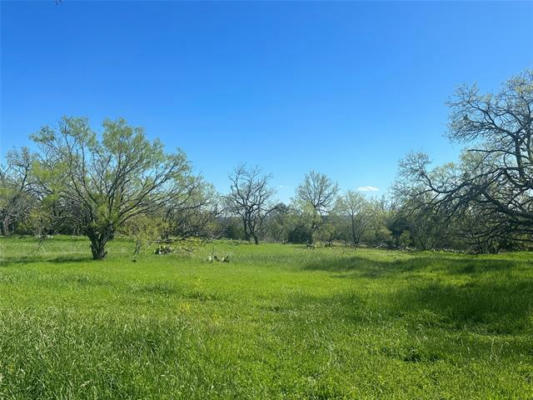 31 COUNTY ROAD 249, GOLDTHWAITE, TX 76844, photo 3 of 10