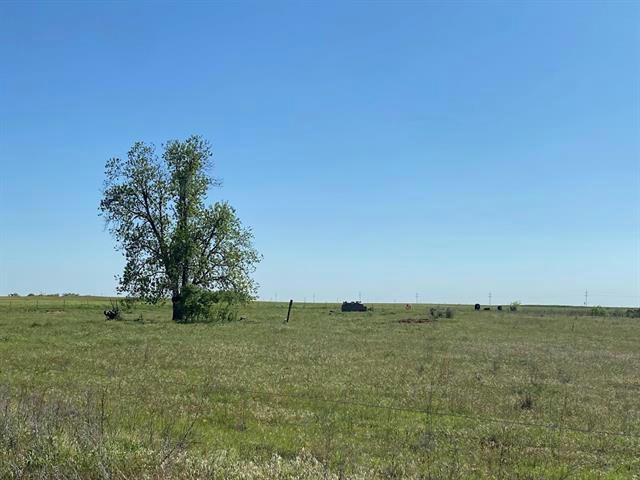 8 ACRES TRACT 4 FM 6, O'BRIEN, TX 79537, photo 1 of 6