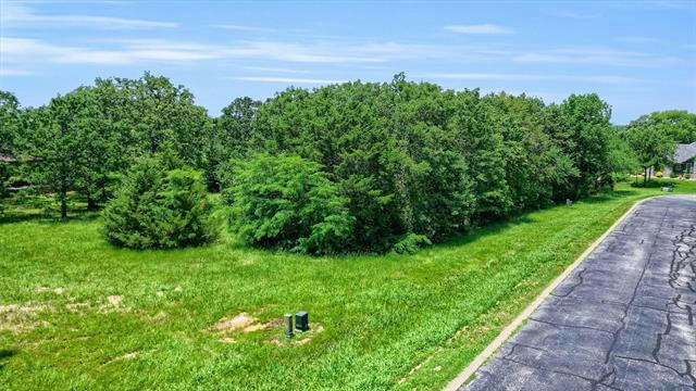 94 STONEWOLF CT, GORDONVILLE, TX 76245, photo 4 of 34