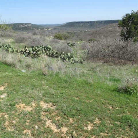 LOT 221-R OAK TREE DRIVE, POSSUM KINGDOM LAKE, TX 76449, photo 1 of 17