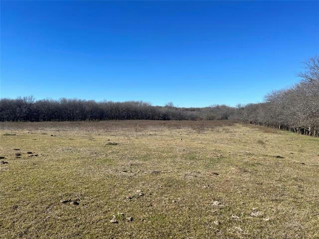 647 HILL COUNTY ROAD 4411, GRANDVIEW, TX 76050, photo 1 of 14