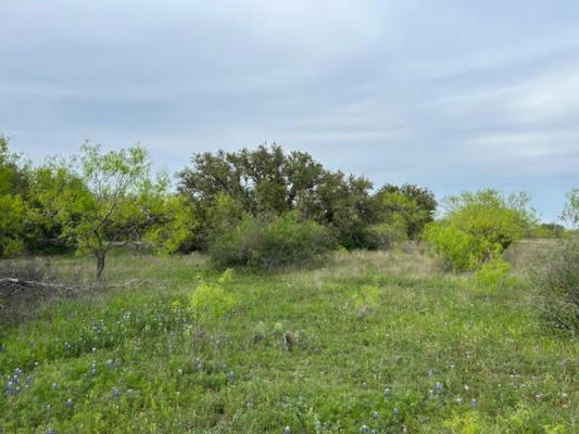 TBD COUNTY ROAD 225, BROOKESMITH, TX 76801 - Image 1