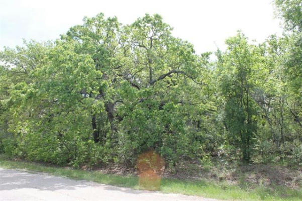 LOT 14 JIM WALTERS DRIVE, RUNAWAY BAY, TX 76426, photo 2 of 14