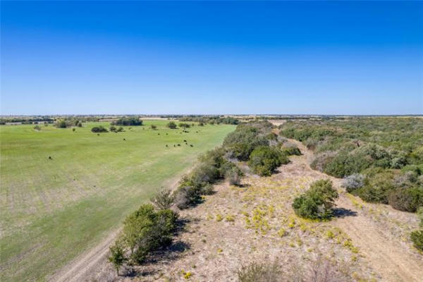 1630 COUNTY ROAD 226, GATESVILLE, TX 76528, photo 4 of 16