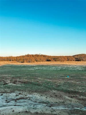 LOT 10 DOBBS VALLEY ROAD, SANTO, TX 76067, photo 2 of 6